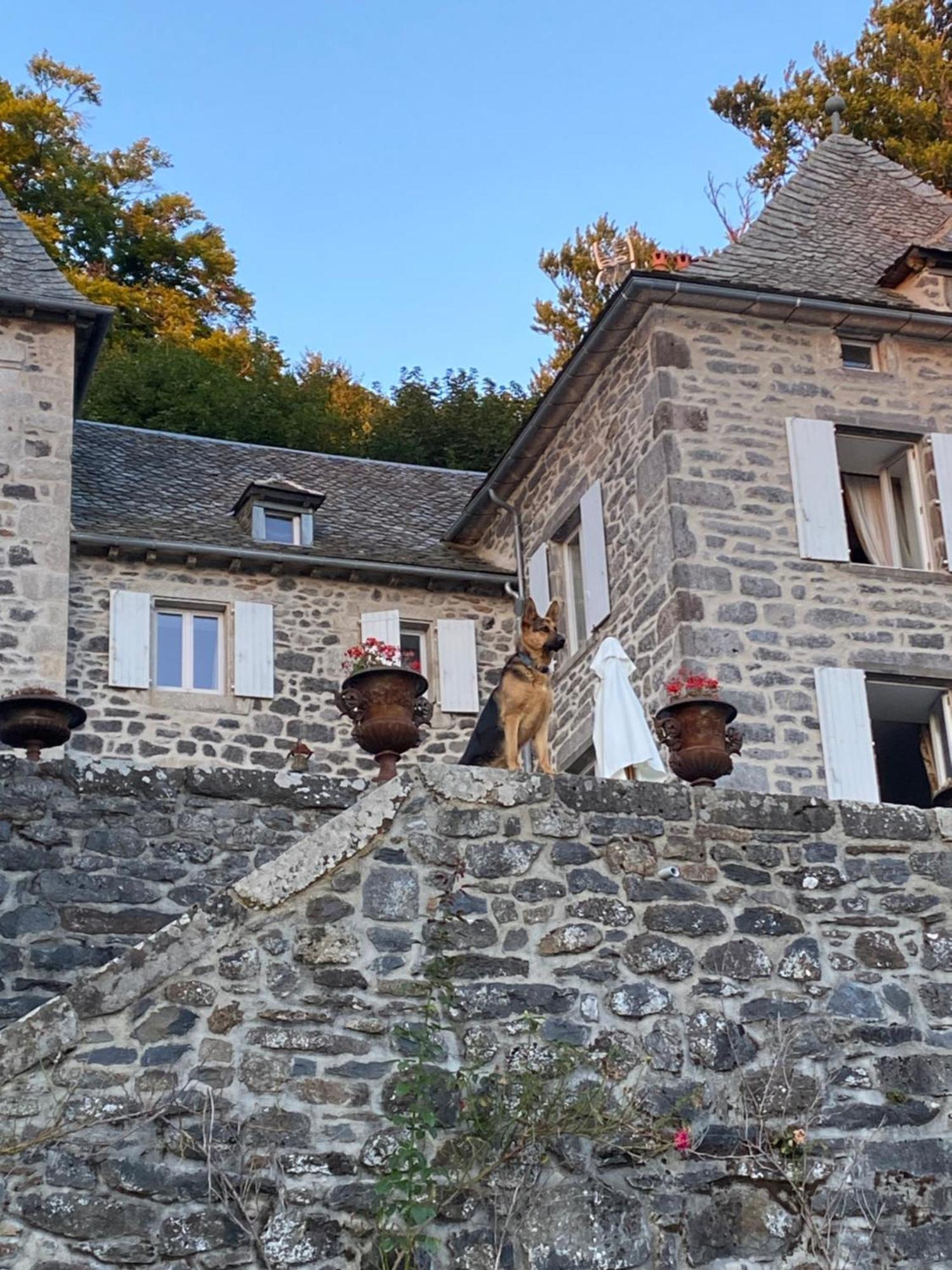 Curieres Chateau Du Puech מראה חיצוני תמונה